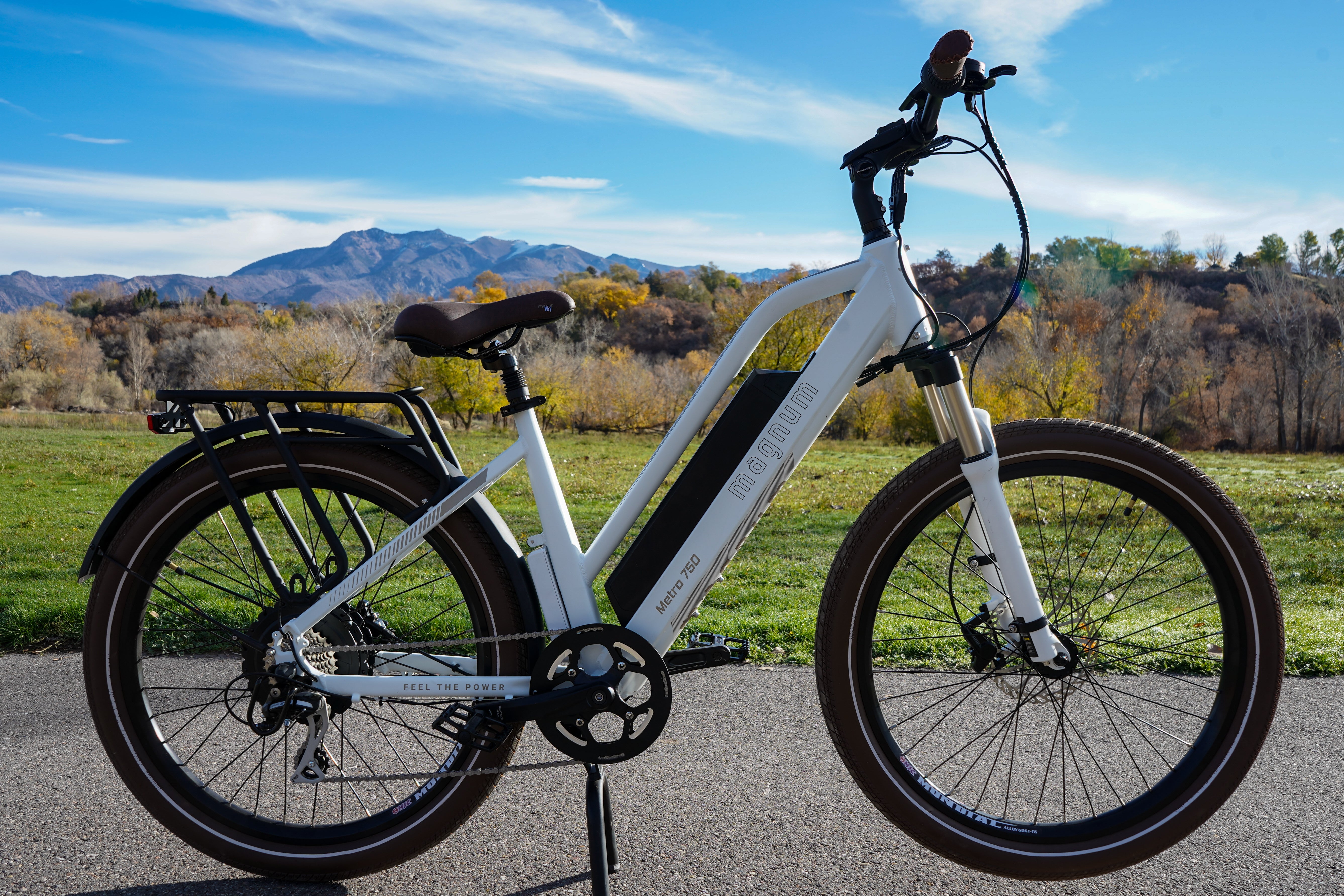 The Metros – Magnum Bikes Online