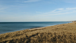 Dry golden grass, calm deep blue shores of Lake Michigan, and a bright blue sky with wispy white clouds