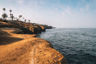Sandy cliff over the Pacific Ocean on a sunny day in San Diego, with palm trees and buildings to the left and the ocean to the right