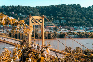 Roberto Clemente Bridge in Pittsburgh Pennsylvania with a brown leafy tree in the foreground and lush green trees lining the hills in the background