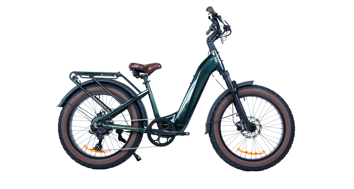 citybike elcykel Magnum Low Rider SIZE:56 Alles zum Thema: Haltbarkeit plastik Range Confidence The 499.2Wh