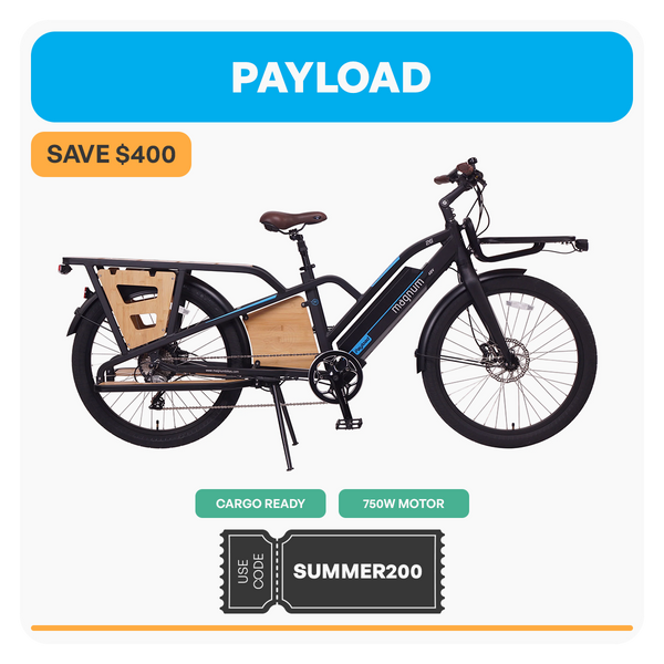 Payload
