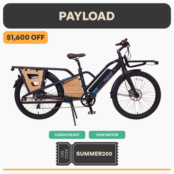 Payload