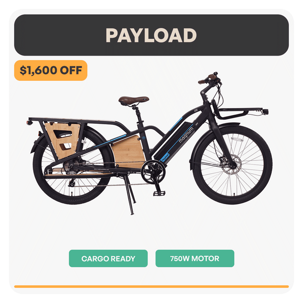 Payload